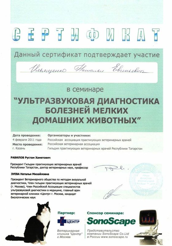 Документ или сертификат