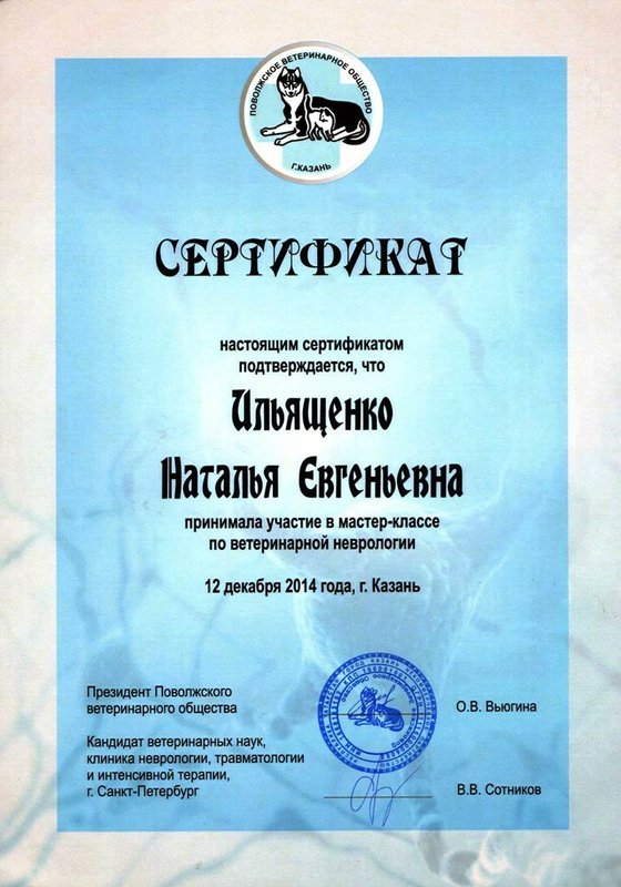 Документ или сертификат