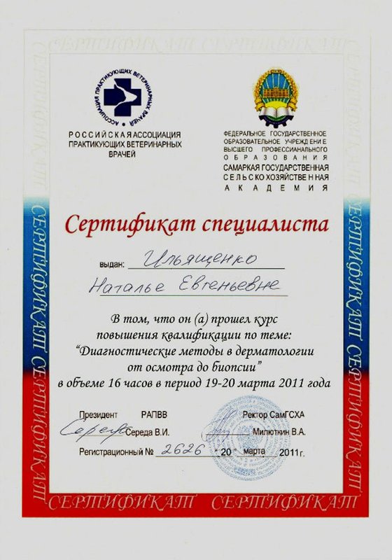 Документ или сертификат