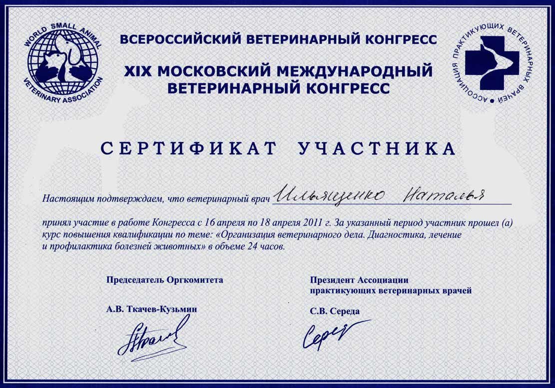 Документ или сертификат