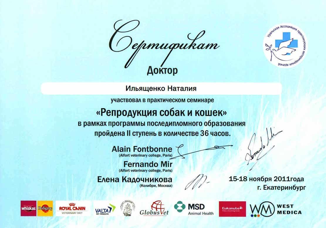 Документ или сертификат