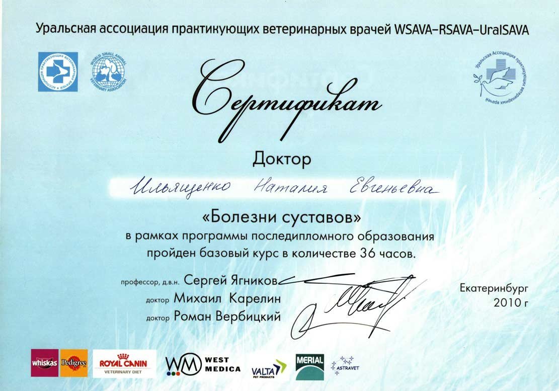 Документ или сертификат