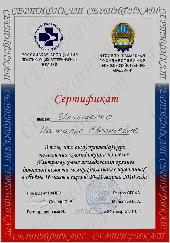 Документ или сертификат