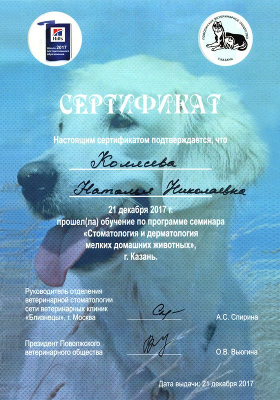 Документ или сертификат