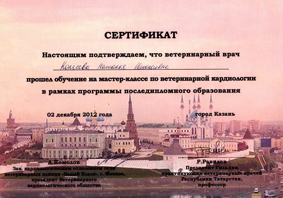 Документ или сертификат