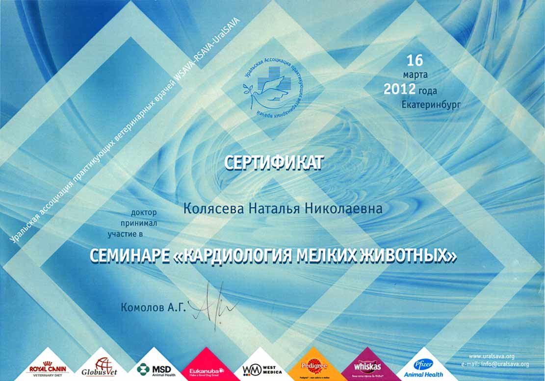 Документ или сертификат