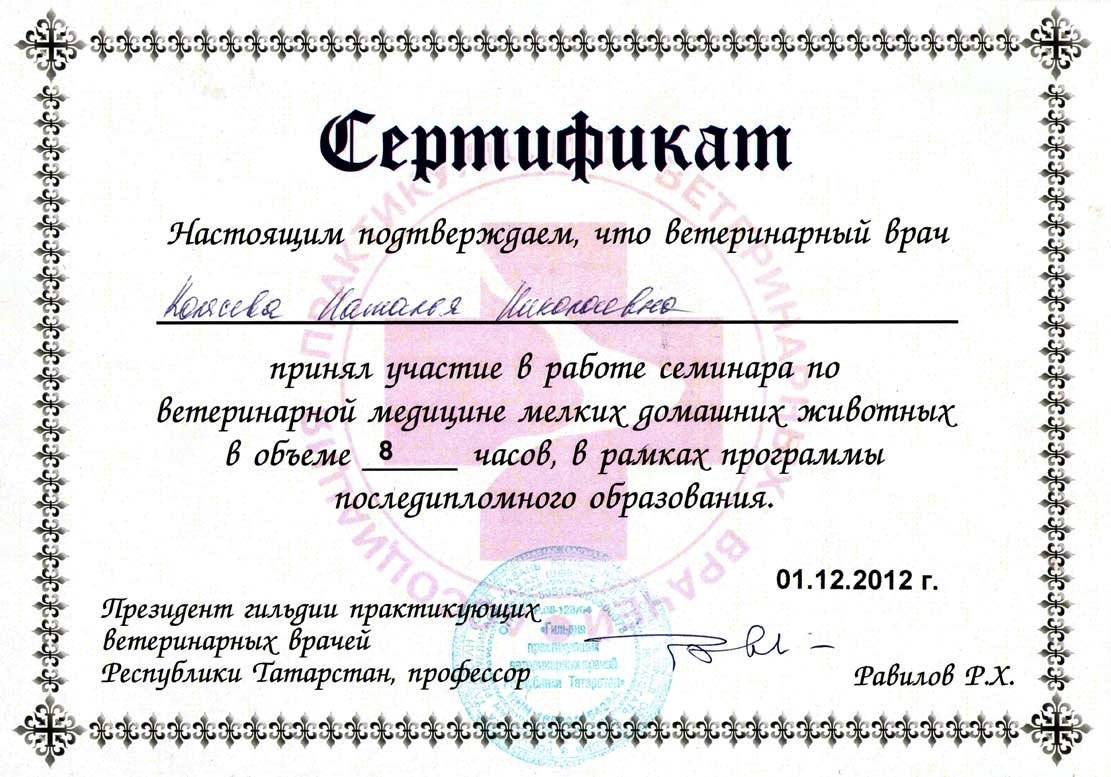 Документ или сертификат