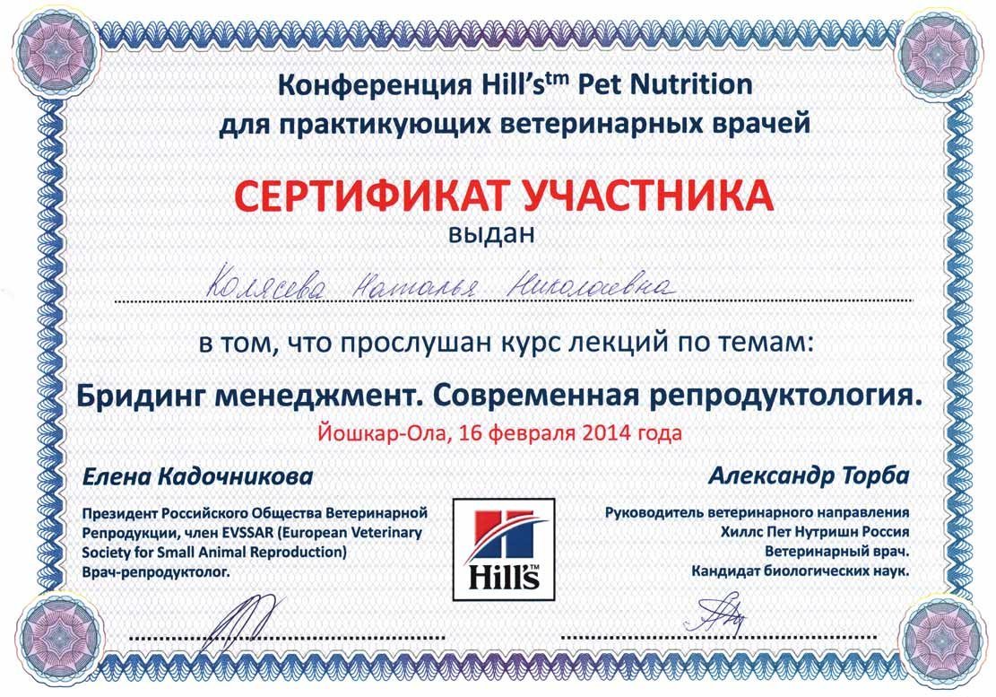 Документ или сертификат