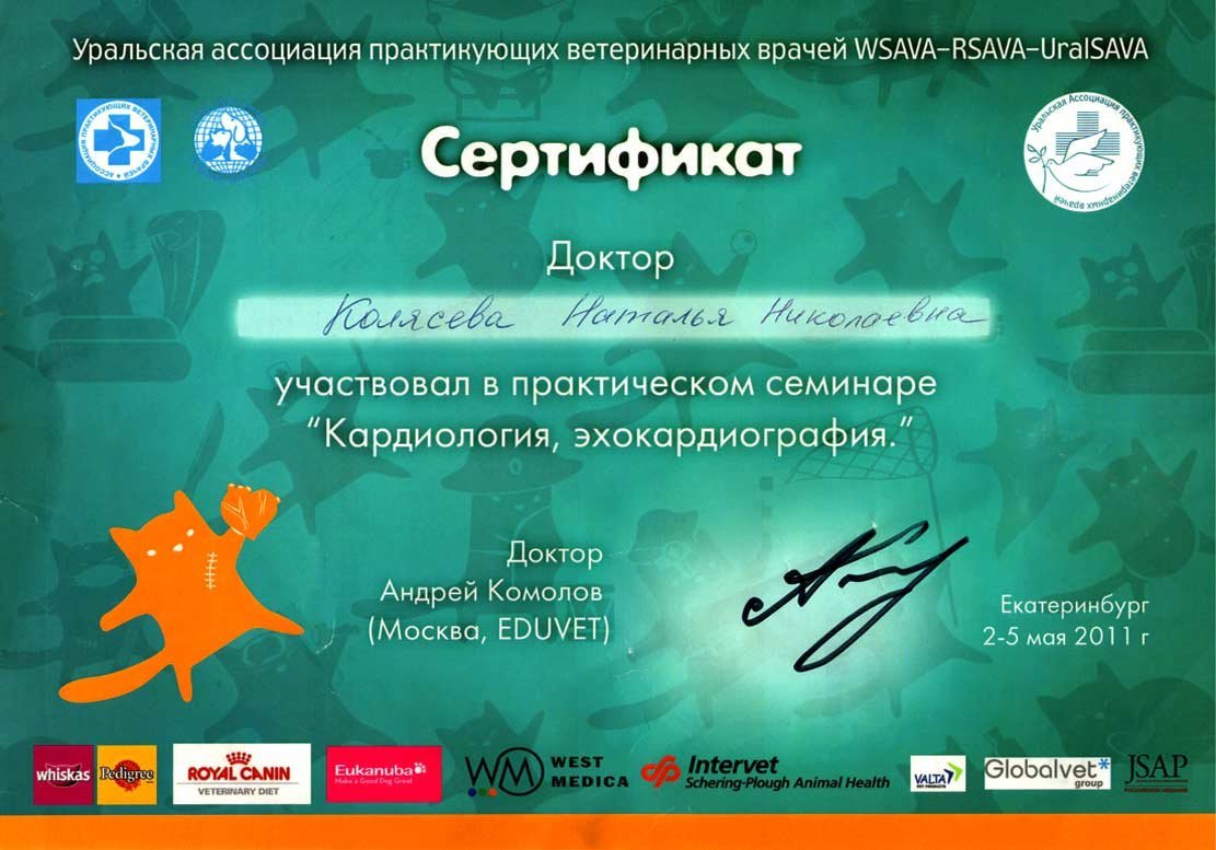 Документ или сертификат
