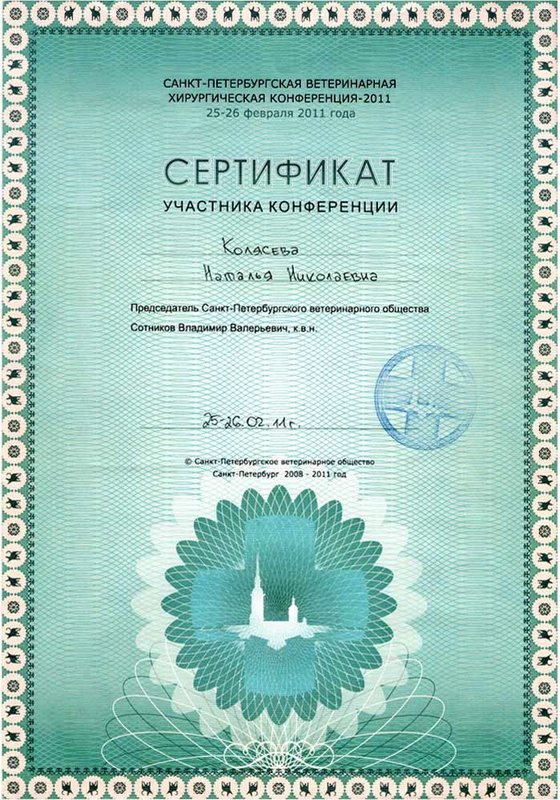 Документ или сертификат