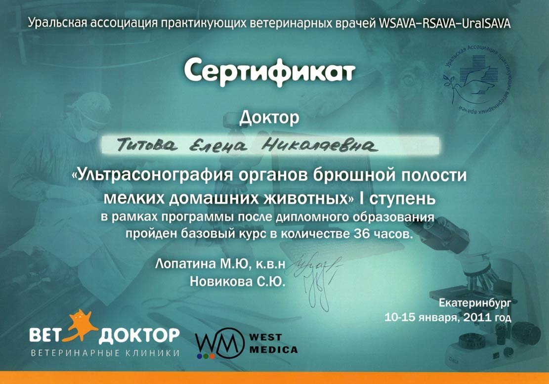 Документ или сертификат