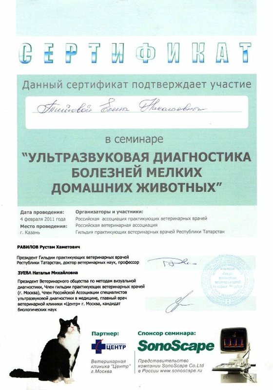 Документ или сертификат