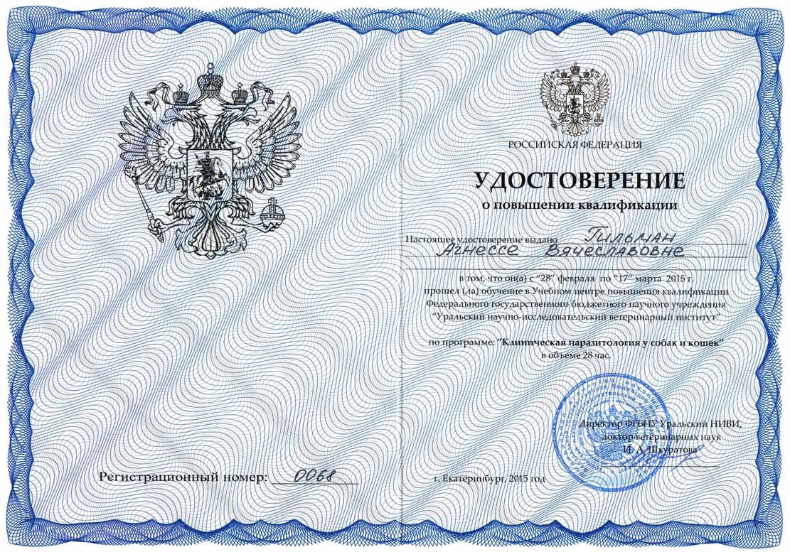 Документ или сертификат