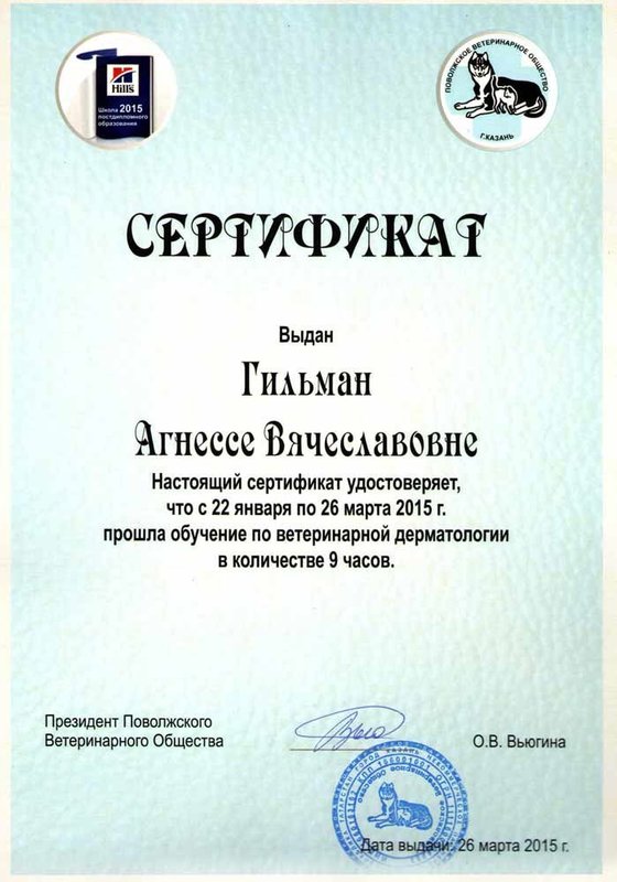Документ или сертификат
