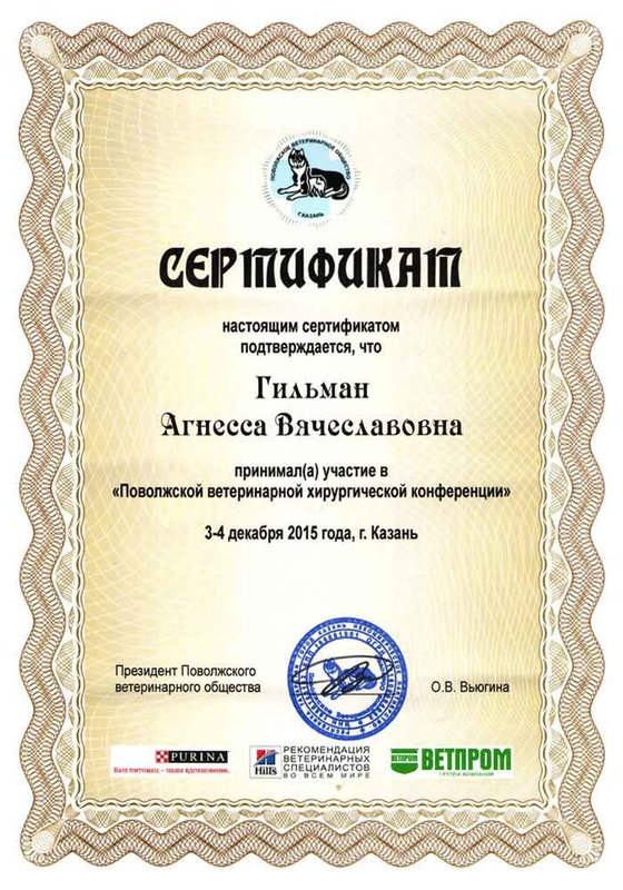 Документ или сертификат