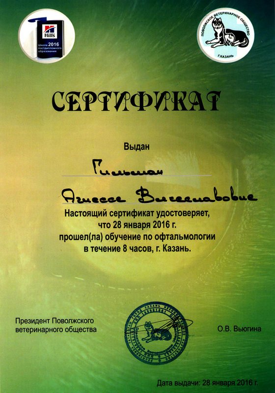 Документ или сертификат