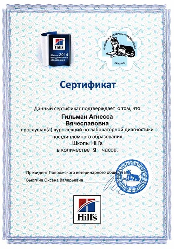 Документ или сертификат