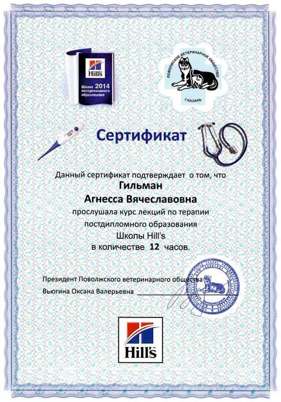 Документ или сертификат