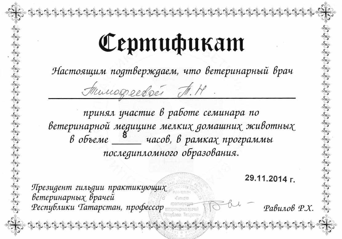 Документ или сертификат