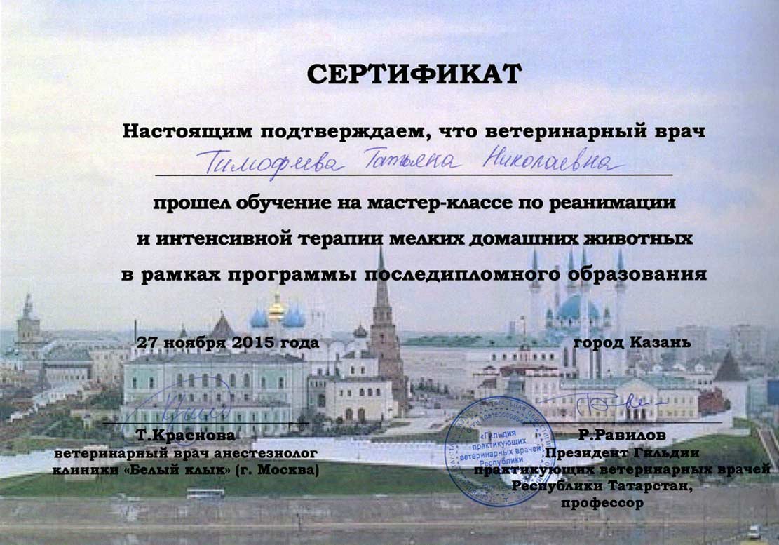 Документ или сертификат