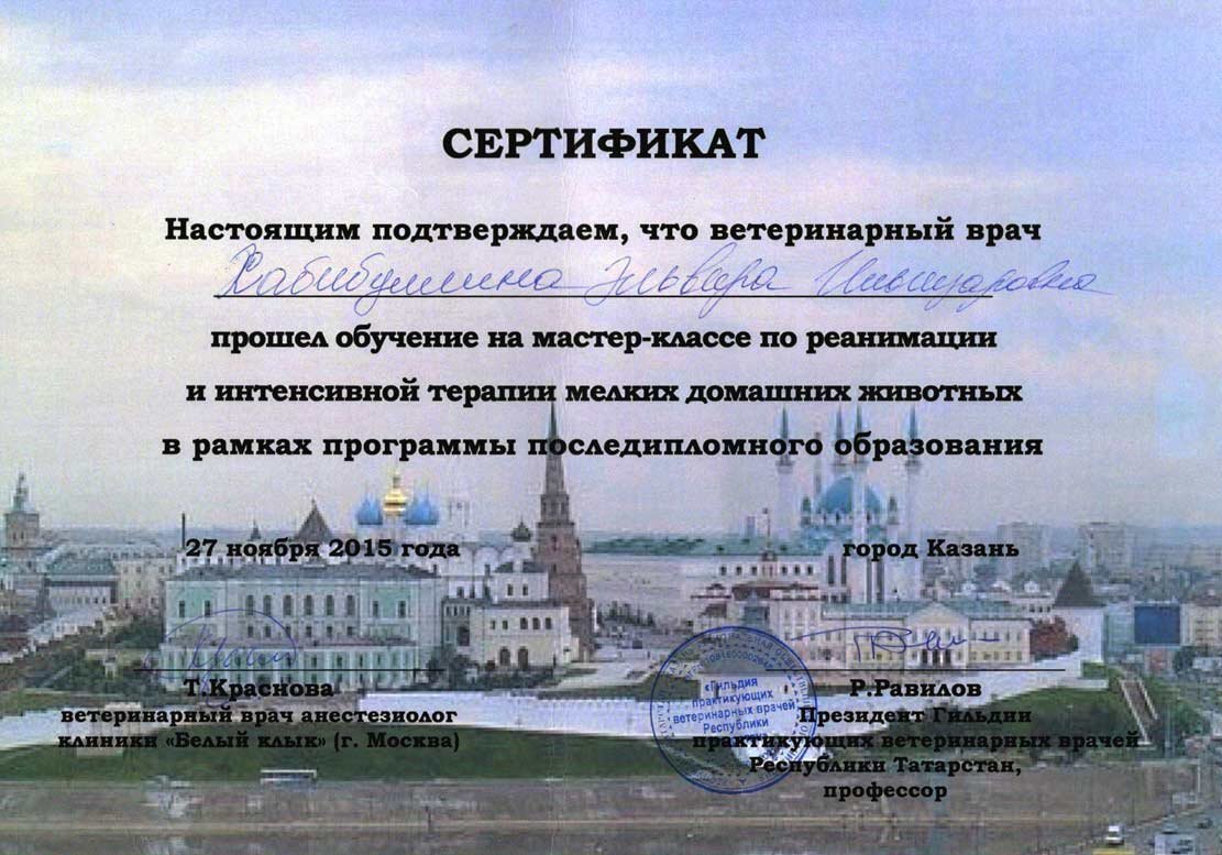 Документ или сертификат