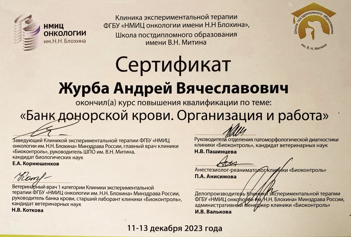 Документ или сертификат