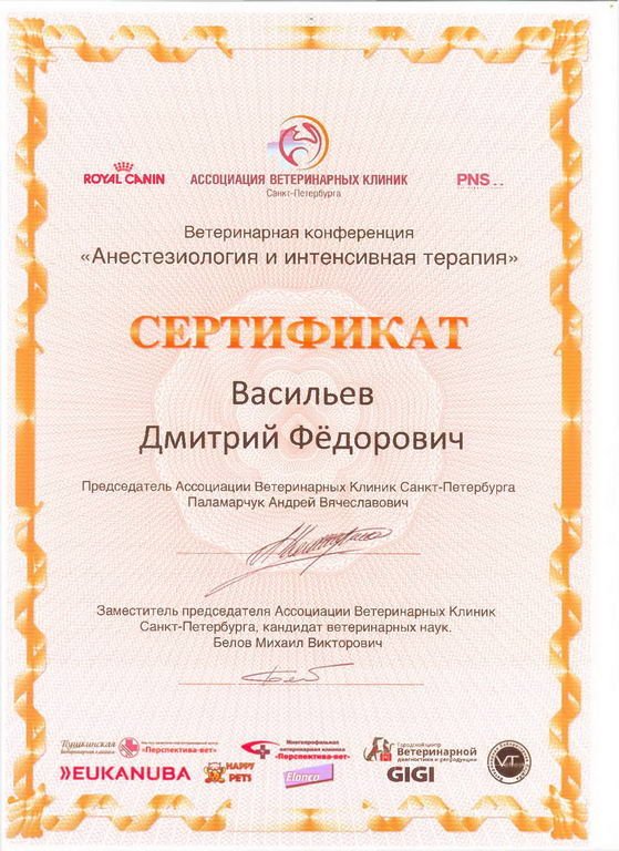 Документ или сертификат