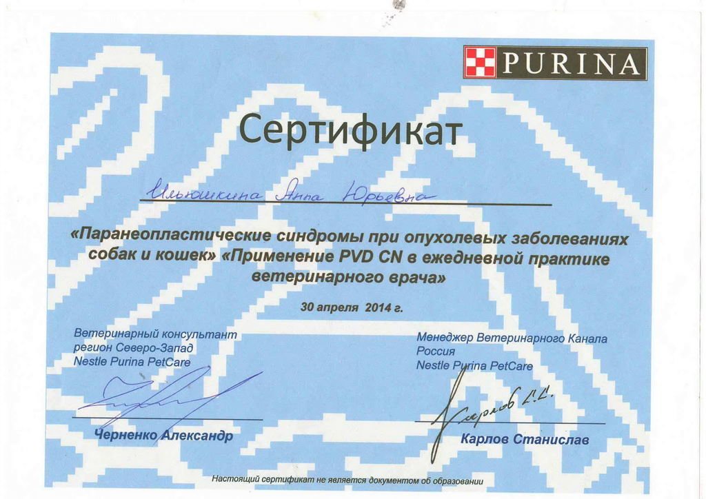 Документ или сертификат