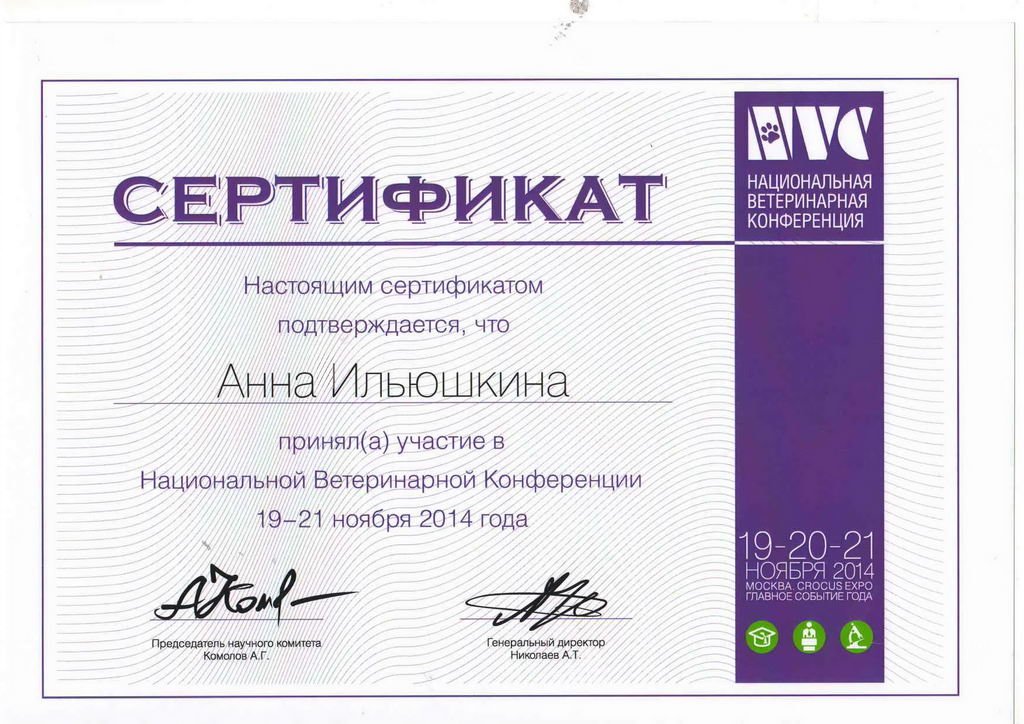 Документ или сертификат