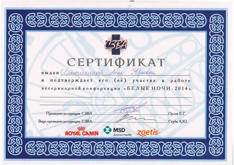 Документ или сертификат