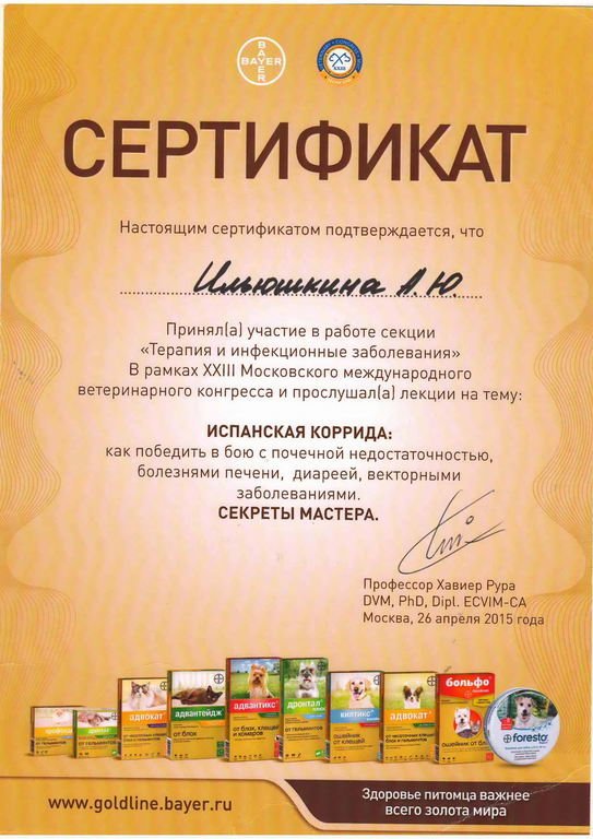 Документ или сертификат