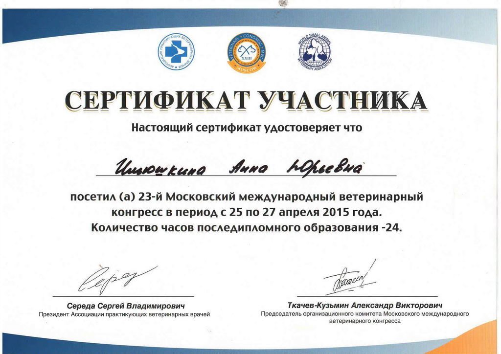 Документ или сертификат
