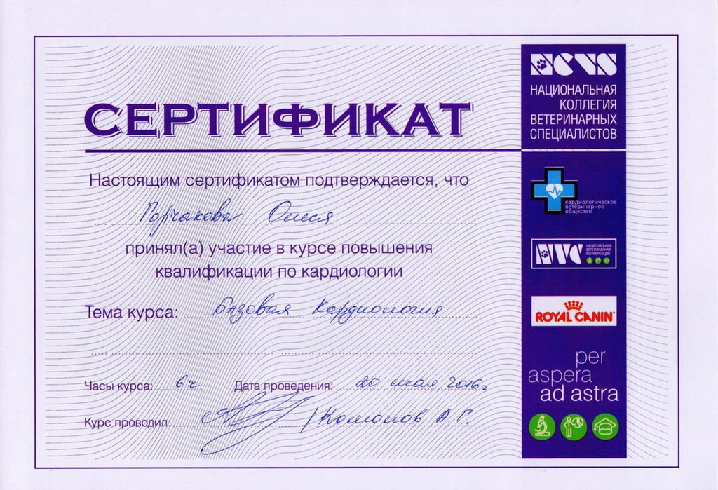 Документ или сертификат