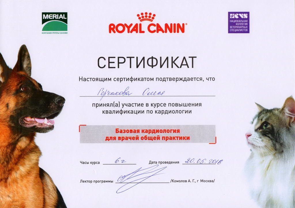Документ или сертификат