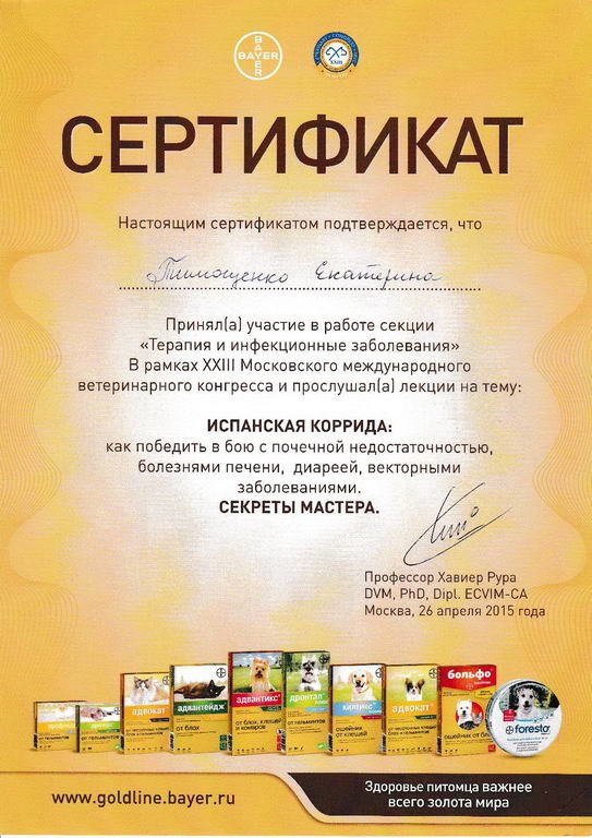 Документ или сертификат