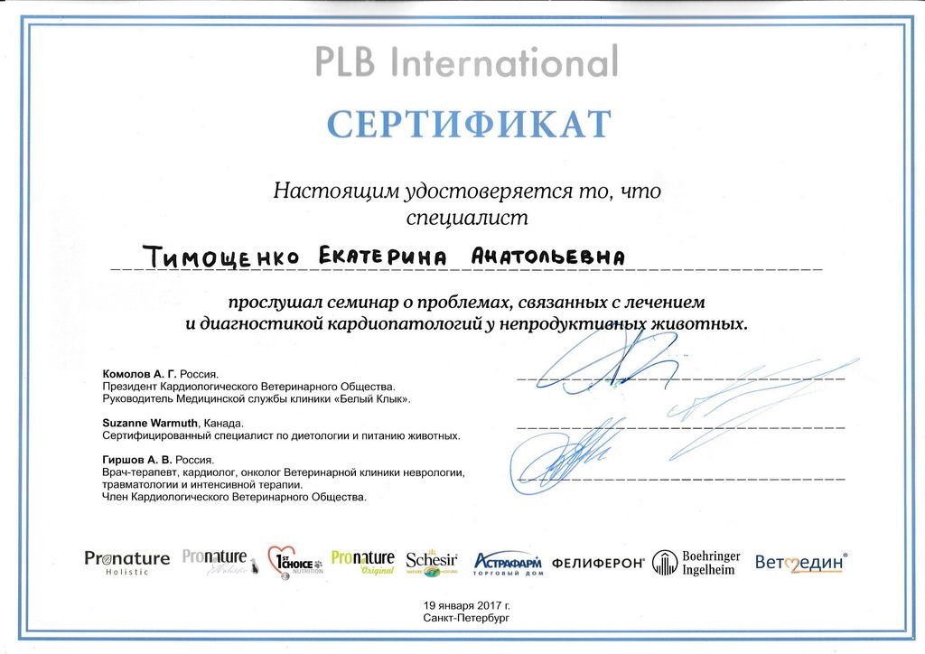 Документ или сертификат