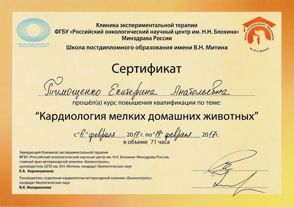 Документ или сертификат