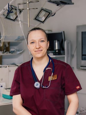 Фото врача Кощеева Екатерина Андреевна