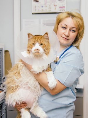 Фото врача Ильичева Оксана Викторовна