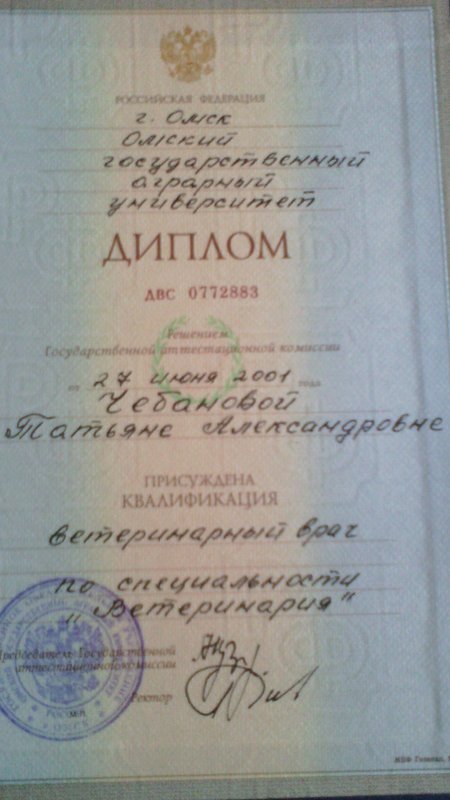 Документ или сертификат