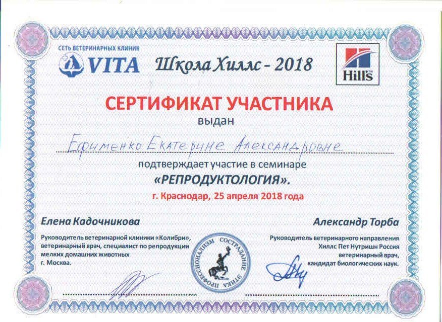 Документ или сертификат