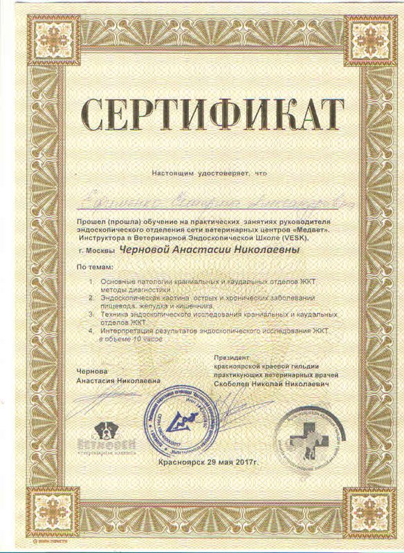 Документ или сертификат