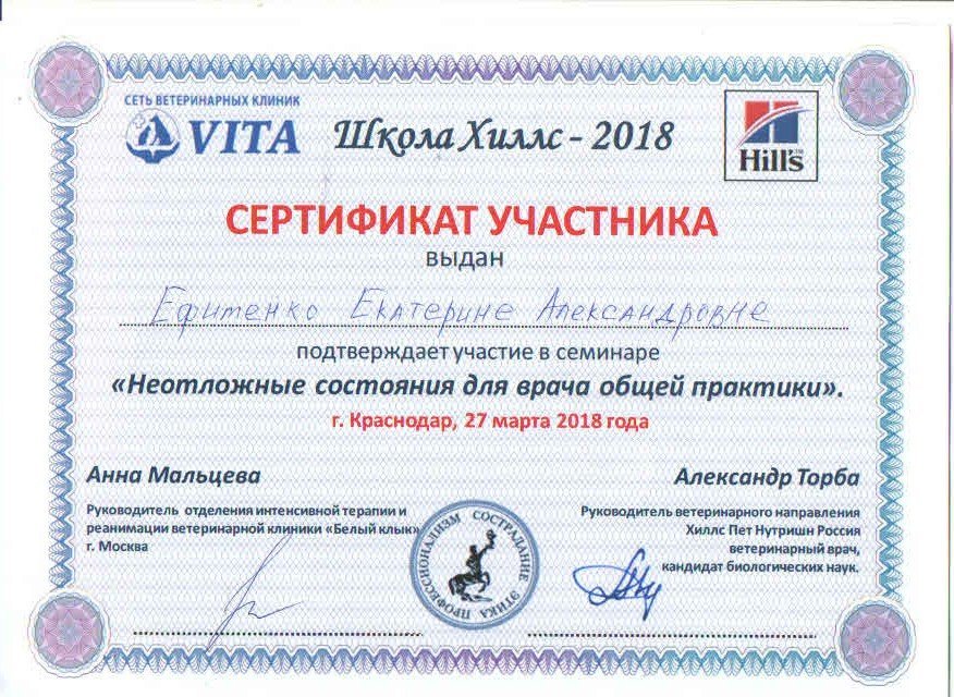 Документ или сертификат