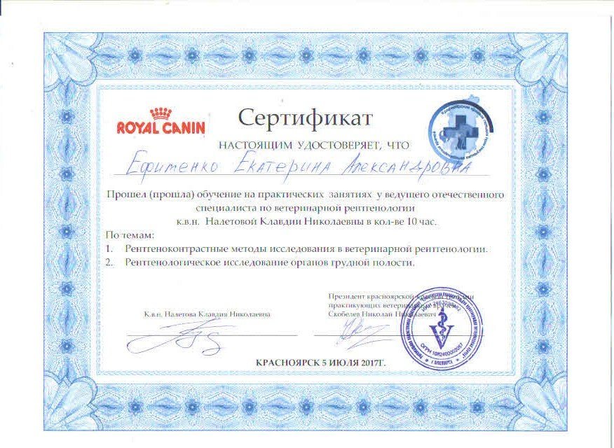 Документ или сертификат