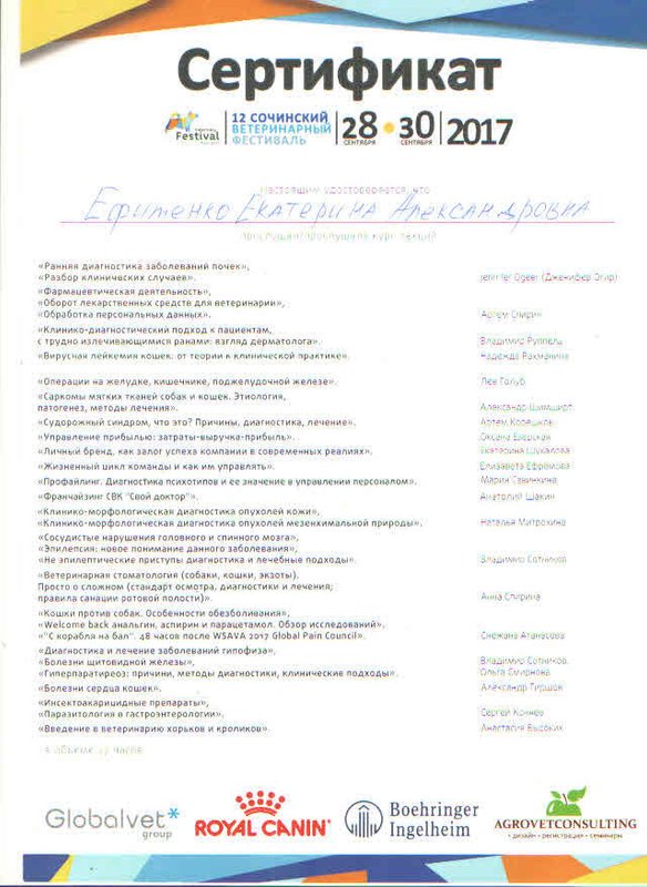 Документ или сертификат