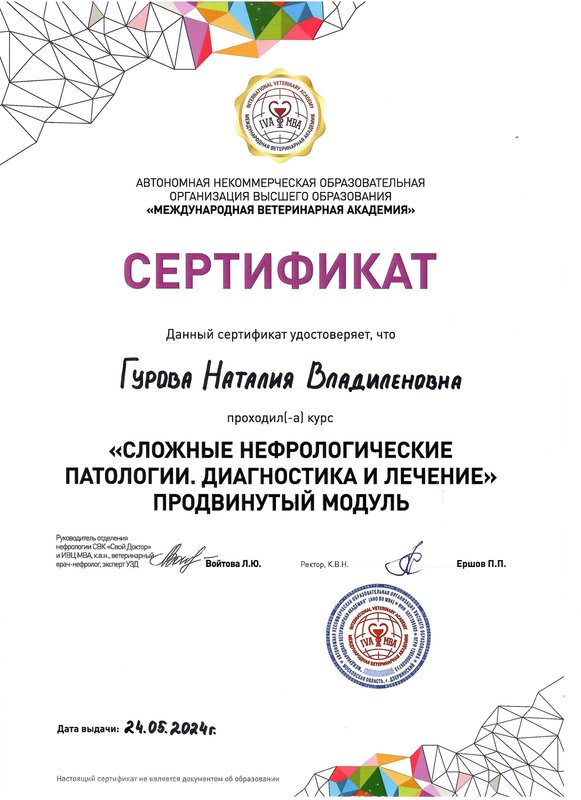 Документ или сертификат