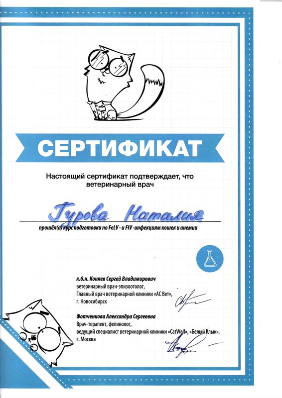 Документ или сертификат