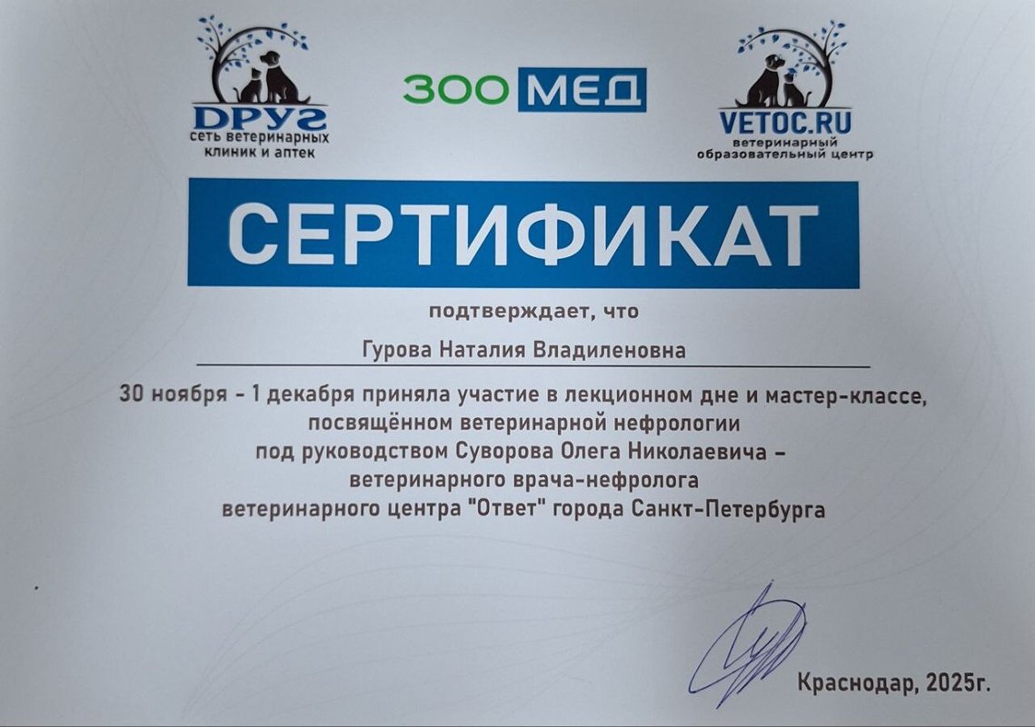 Документ или сертификат