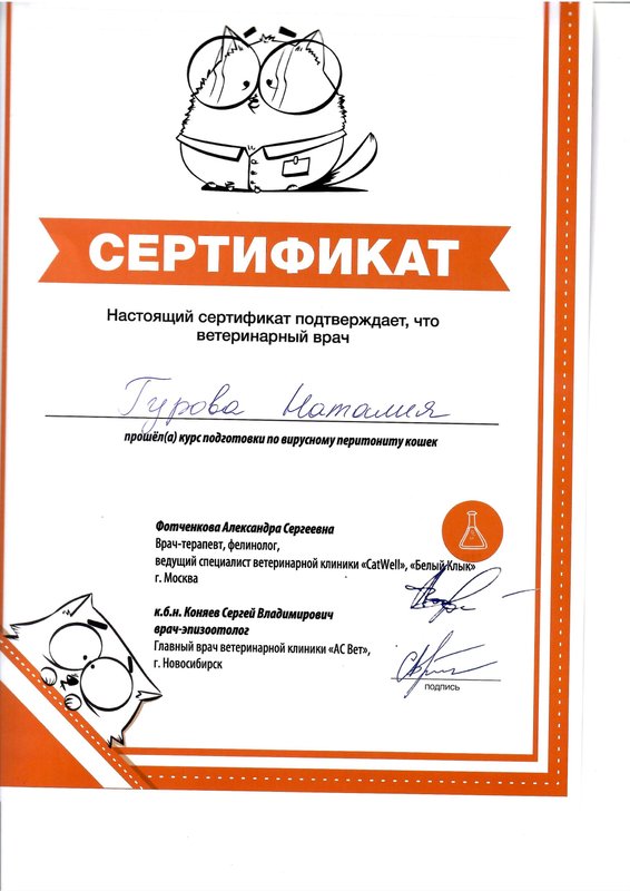 Документ или сертификат
