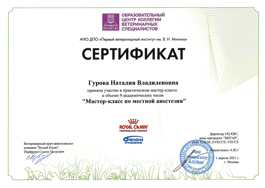 Документ или сертификат